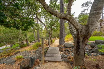 6445 Kathryn, Cambria, CA 93428 - Photo 56