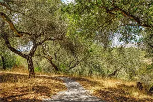 655 Mission Springs Rd, Arroyo Grande, CA 93420 - Photo 40