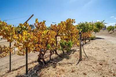7170 Iverson, Paso Robles, CA 93446 - Photo 50