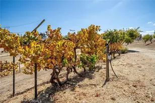 7170 Iverson, Paso Robles, CA 93446 - Photo 50