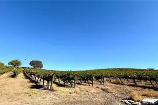 5820 Vista Del Paso, Paso Robles, CA 93446 - Photo 4
