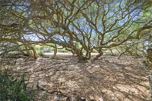1160 Bayview Heights Dr, Los Osos, CA 93402 - Photo 40