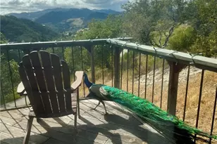 456 Squire Canyon Rd, San Luis Obispo, CA 93401 - Photo 56