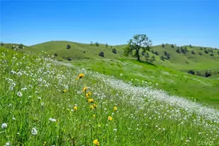 19623 Rd 211, Friant, CA 93626 - Photo 56