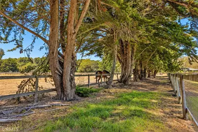 1869 Los Osos Valley, Los Osos, CA 93402 - Photo 52