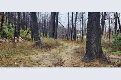 182 Gamble Road, Berry Creek, CA 95916 - Photo 10