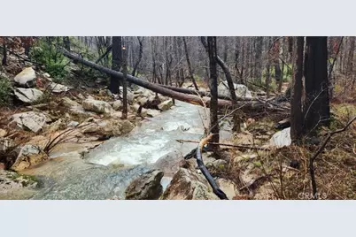 182 Gamble Road, Berry Creek, CA 95916 - Photo 2