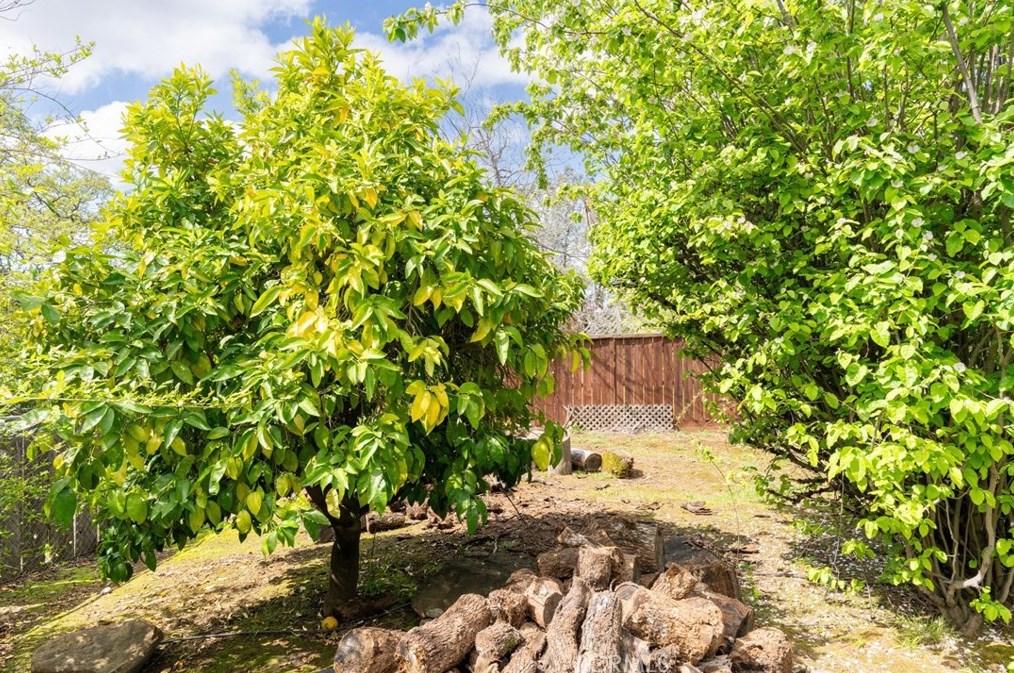 189 Cyn Highlands Dr, Oroville CA  95966-3662 exterior