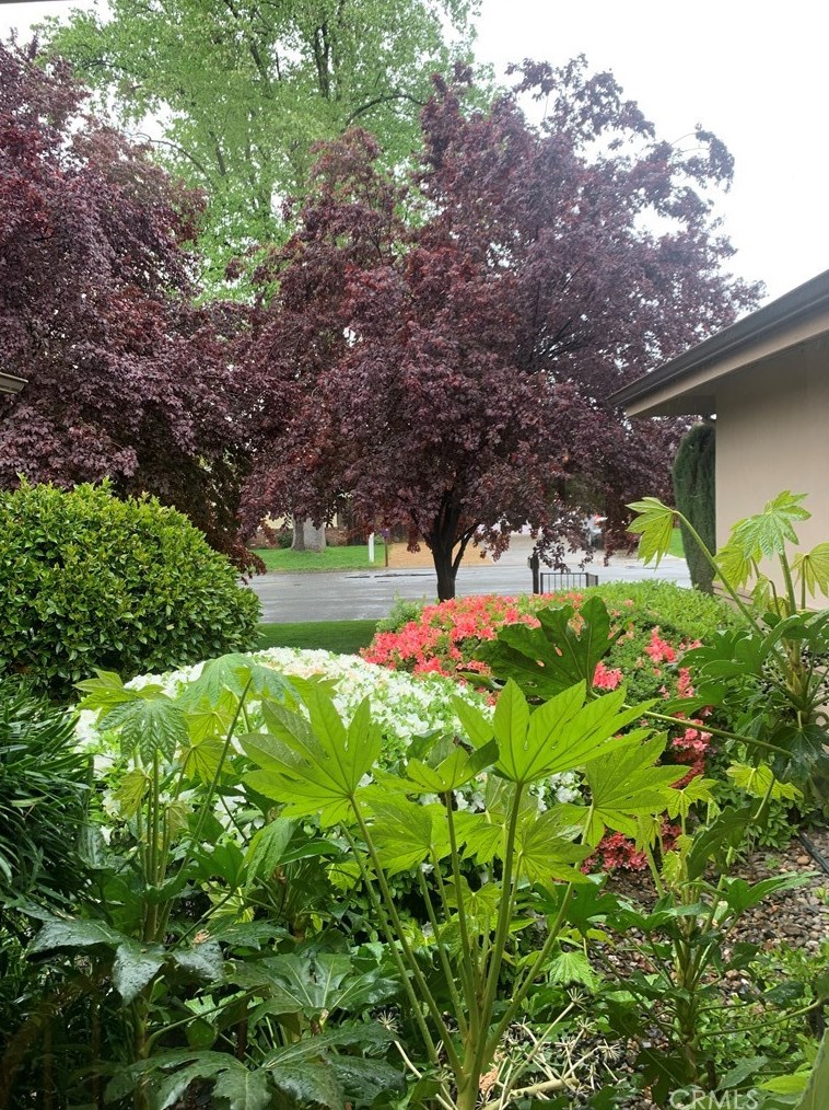 9 Sunland Dr, Chico CA  95926-1445 exterior