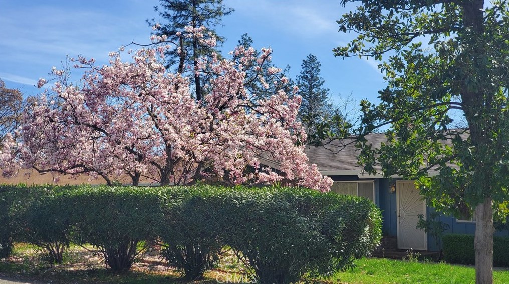 1854 Salida Way, Paradise, CA 95969-6033