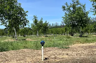 18525 Farquhar Rd, Cottonwood, CA 96022 - Photo 26