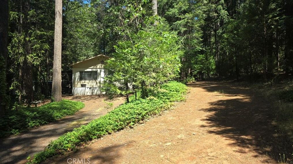 6215 Steiffer Rd, Nimshew, CA 95954-9774