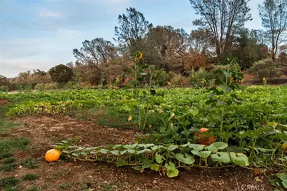 6237 Cohasset Road, Chico, CA 95973 - Photo 20
