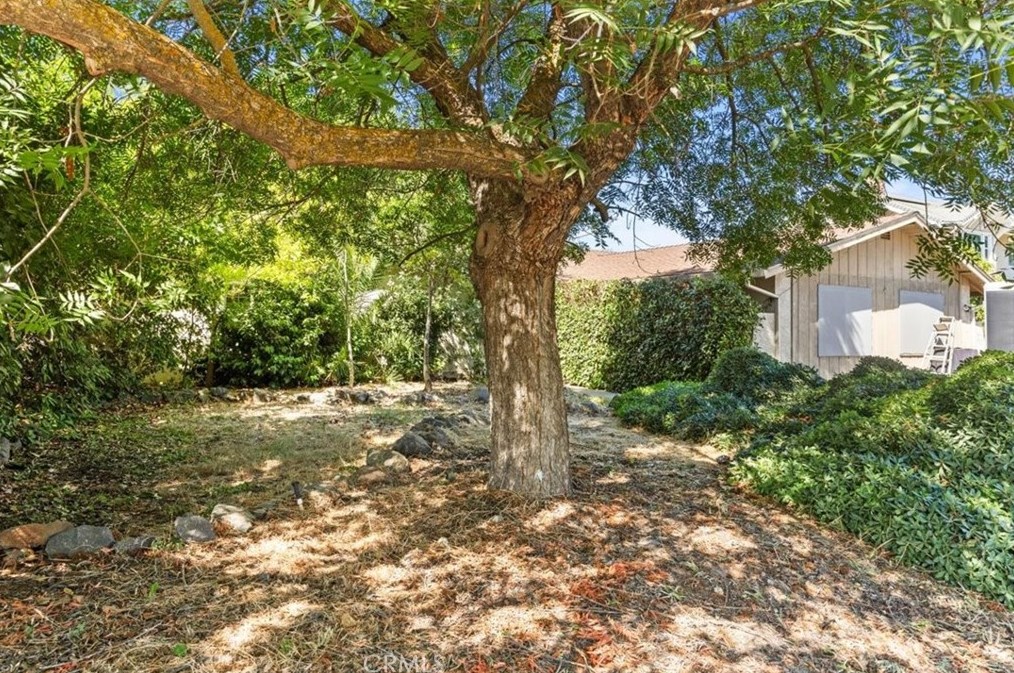 423 N Murdock Ave, Fruto, CA 95988