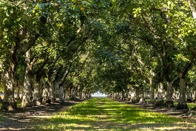 1604 Ca-45, , CA 95950 - Photo 2