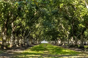 1604 CA-45, , CA 95950 - Photo 2