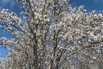 2737 House Avenue, Durham, CA 95938 - Photo 38