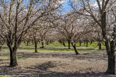 2737 House Avenue, Durham, CA 95938 - Photo 36