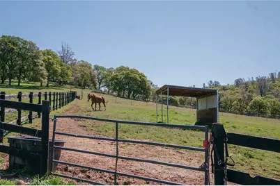 14134 Serpentine Farm Lane, Grass Valley, CA 95949 - Photo 52