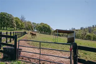 14134 Serpentine Farm Ln, Grass Valley, CA 95949 - Photo 52
