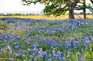 1477 Flag Creek Rd, Oroville, CA 95965 - Photo 70