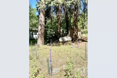 14591 Holmwood, Magalia, CA 95954 - Photo 30