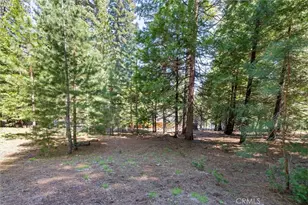 910 Clifford Dr, Almanor, CA 96137 - Photo 38