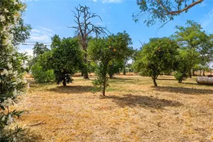 71 School St, Oroville, CA 95966 - Photo 28