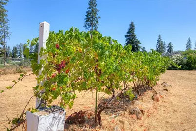 6478 Lone Cedar Lane, Paradise, CA 95969 - Photo 58