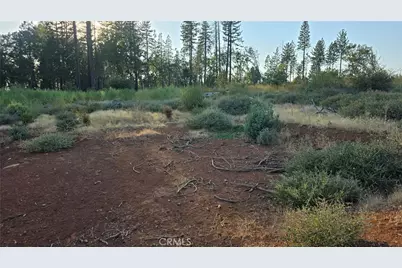 13597 W Park Drive, Magalia, CA 95954 - Photo 6