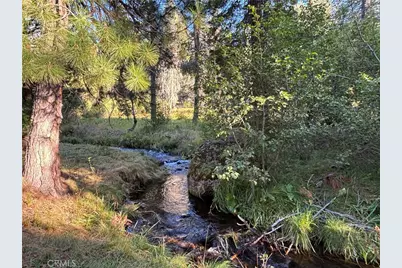 9478 Jones Creek Road #14, Jonesville, CA 95942 - Photo 34