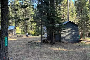 9478 Jones Creek Rd, Jonesville, CA 95942 - Photo 32