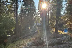 9478 Jones Creek Rd, Jonesville, CA 95942 - Photo 22