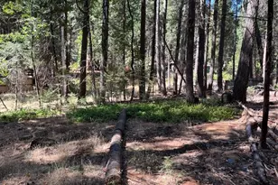 15075 Oakleaf, Magalia, CA 95954 - Photo 4