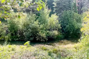 7404 Meadow Creek, Butte Meadows, CA 95942 - Photo 8