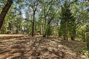 10202 Cohasset Rd, Chico, CA 95973 - Photo 54
