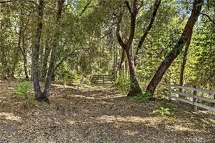 10202 Cohasset Rd, Chico, CA 95973 - Photo 60