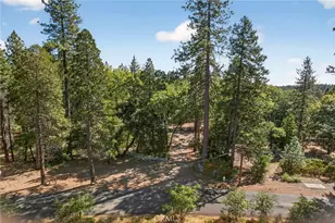 10202 Cohasset Rd, Chico, CA 95973 - Photo 64