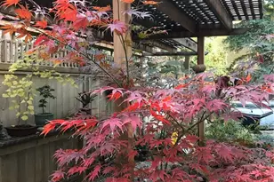 1975 Heritage Oak, Chico, CA 95928 - Photo 54