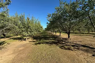 9581 Jones, Durham, CA 95938 - Photo 26