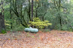 16376 Stage Rd, Forest Ranch, CA 95942 - Photo 42