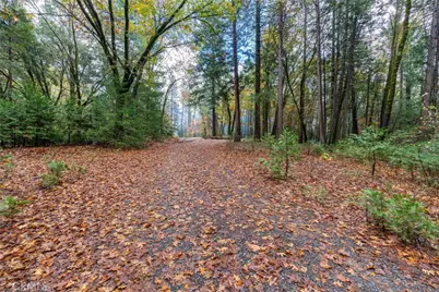 16376 Stage Road, Forest Ranch, CA 95942 - Photo 32