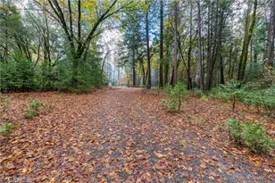 16376 Stage Rd, Forest Ranch, CA 95942 - Photo 32