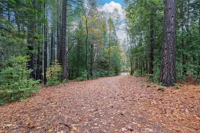 16376 Stage Road, Forest Ranch, CA 95942 - Photo 54