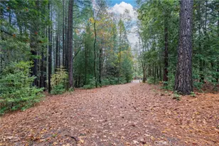 16376 Stage Rd, Forest Ranch, CA 95942 - Photo 54