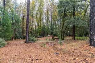 16376 Stage Rd, Forest Ranch, CA 95942 - Photo 68