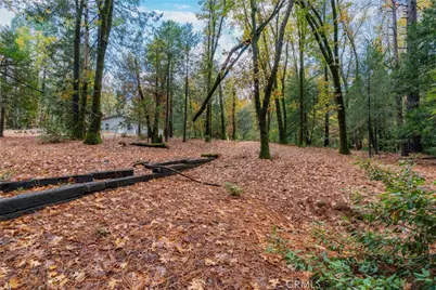 16376 Stage Road, Forest Ranch, CA 95942 - Photo 52