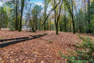 16376 Stage Rd, Forest Ranch, CA 95942 - Photo 52