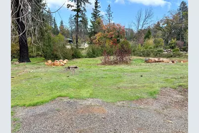 1239 Elliott, Paradise, CA 95969 - Photo 4