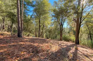 3625 Charqui Ct, Oroville, CA 95965 - Photo 32